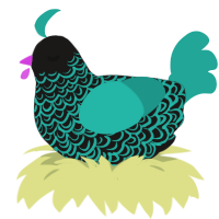 A sable and turquoise chicken with a double-lace pattern