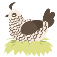 Penelope, a cream and bark chicken with a lace pattern