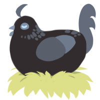 A silver and ash chicken with a neck-speckle pattern