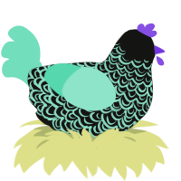 Promise of Rain, a black and mint chicken with a double-lace pattern