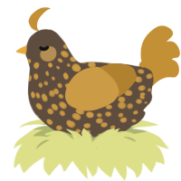 A bark and gold chicken with a speckle pattern