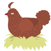 Chocolate Truffle, a russet chicken with a speckle pattern