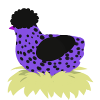 A blurple and black chicken with a speckle pattern