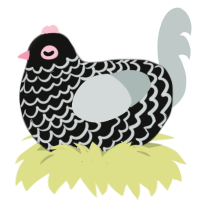 A black and silver chicken with a lace pattern