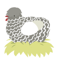 A ash and white chicken with a lace pattern
