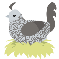 A mist and grey chicken with a double-lace pattern