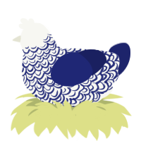 Porcelain, a white and navy chicken with a double-lace pattern