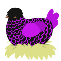 A black and amethyst chicken with a lace pattern