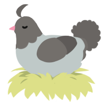 A silver and grey chicken with a head pattern