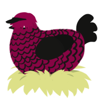 black cherry, a maroon and black chicken with a lace pattern
