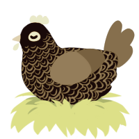 A black and russet chicken with a double-lace pattern