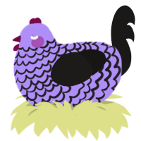A lilac and sable chicken with a lace pattern