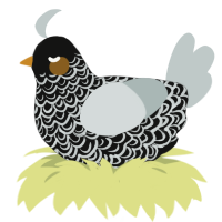 Sneak 2000, a black and silver chicken with a double-lace pattern