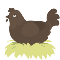 A bark chicken with a head pattern