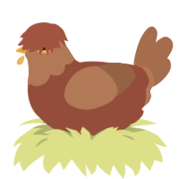 A russet and brown chicken with a head pattern