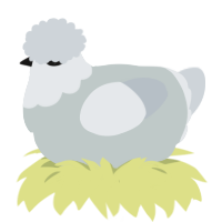 A silver and mist chicken with a head pattern