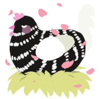 A sable and white chicken with a bar pattern