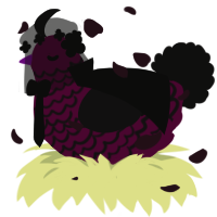 A wine and sable chicken with a lace pattern