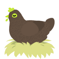 Kiwi, a bark chicken with a double-lace pattern
