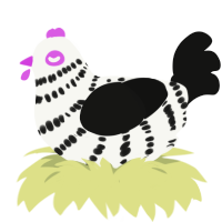A white and black chicken with a bar pattern