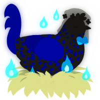 Yoru, a sable and navy chicken with a speckle pattern