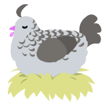 now thats a bird, a mist and grey chicken with a half-lace pattern