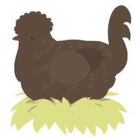 A bark chicken with a half-bar pattern