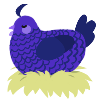 (unnamed), a indigo and navy chicken with a lace pattern