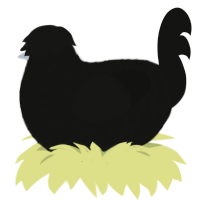 gerard way, a black chicken with a lace pattern