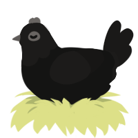 A black and sable chicken with a head pattern