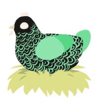 A sable and spring chicken with a double-lace pattern