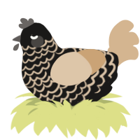 A sable and beige chicken with a lace pattern