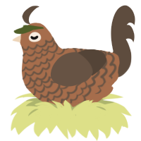 Junlei, a brown and bark chicken with a lace pattern