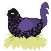 Colorata, a sable and overcast chicken with a speckle pattern