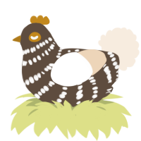 A bark and cream chicken with a bar pattern