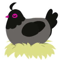 (unnamed), a grey and black chicken with a head pattern