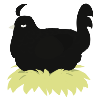 Voiden, a black chicken with a half-lace pattern