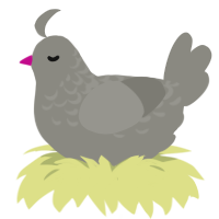 A ash chicken with a half-lace pattern