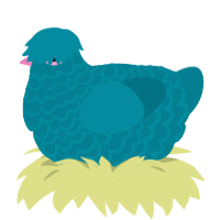 A sea chicken with a lace pattern