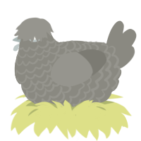 (unnamed), a ash chicken with a lace pattern