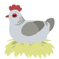 A mist and ash chicken with a neck-band pattern