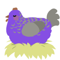 A blurple and ash chicken with a half-lace pattern
