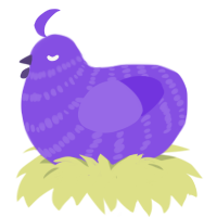 A blurple chicken with a bar pattern