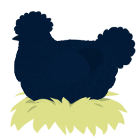 Blackberry Bites, a tumblr chicken with a lace pattern