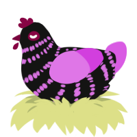 A black and orchid chicken with a bar pattern