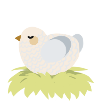 A cream and mist chicken with a lace pattern