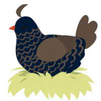 A tumblr and bark chicken with a lace pattern