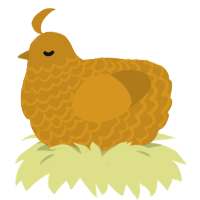 A ochre chicken with a lace pattern