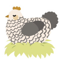 A cream and grey chicken with a lace pattern