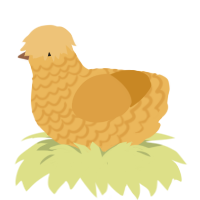 (unnamed), a honey and orange chicken with a lace pattern